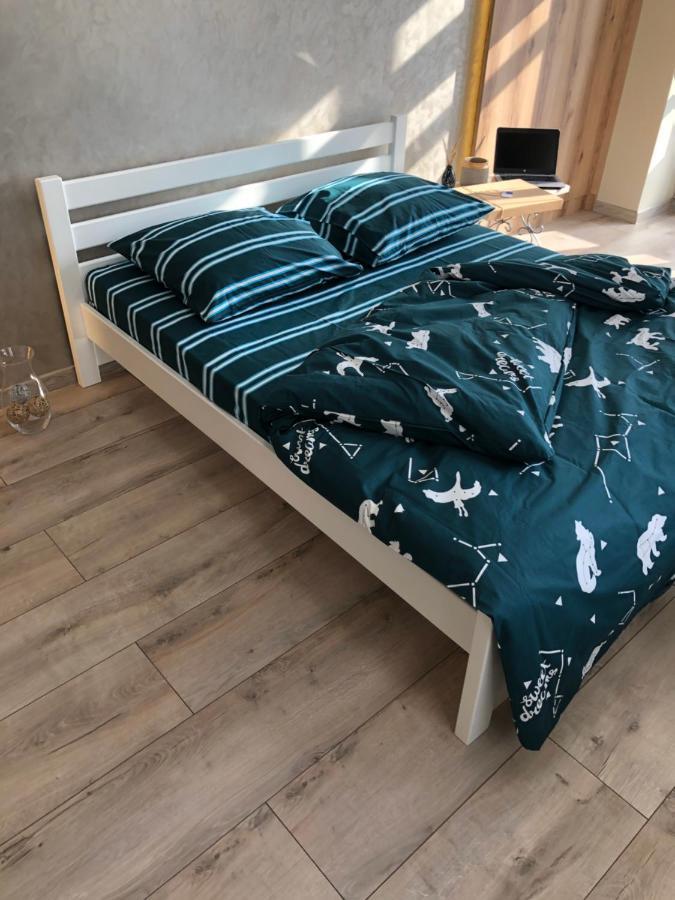 Vip Apartment У Центрі Міста, Новобуджк Театральний,Дуже Простора Rivne Ngoại thất bức ảnh